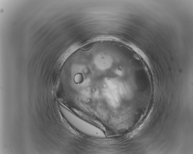 X0000067510953200604101252