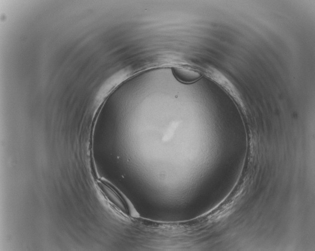 X0000067510954200604101252