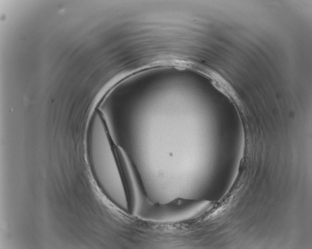 X0000067510955200604101252