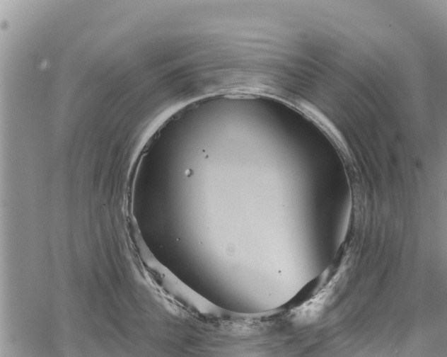 X0000067510956200604101252