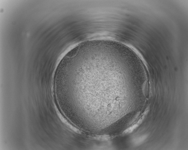 X0000067510957200604101252