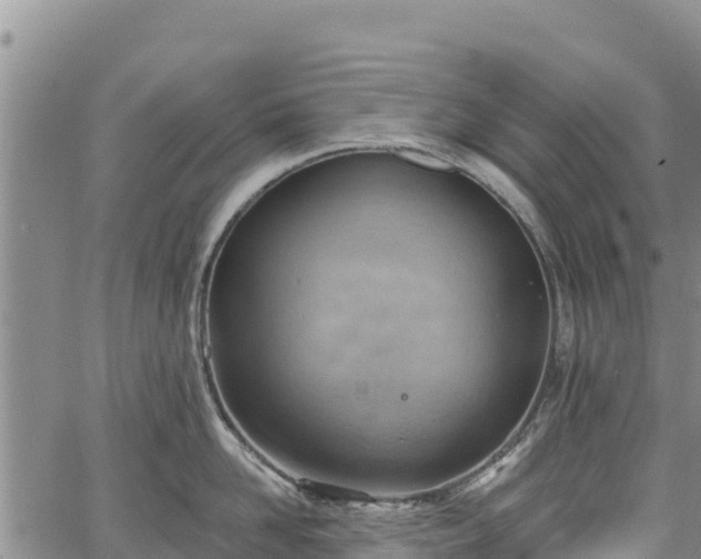 X0000067510958200604101252