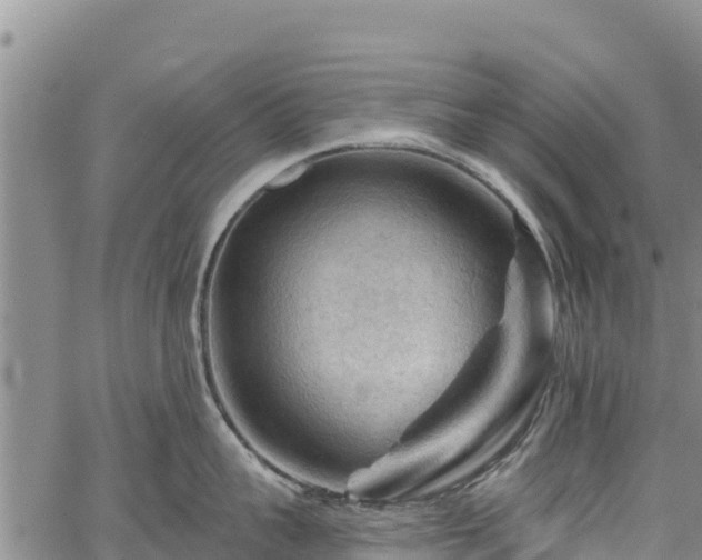 X0000067510959200604101252