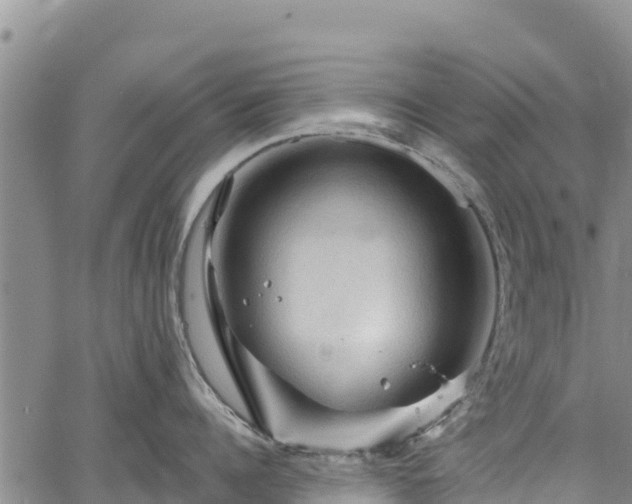 X0000067510960200604101252