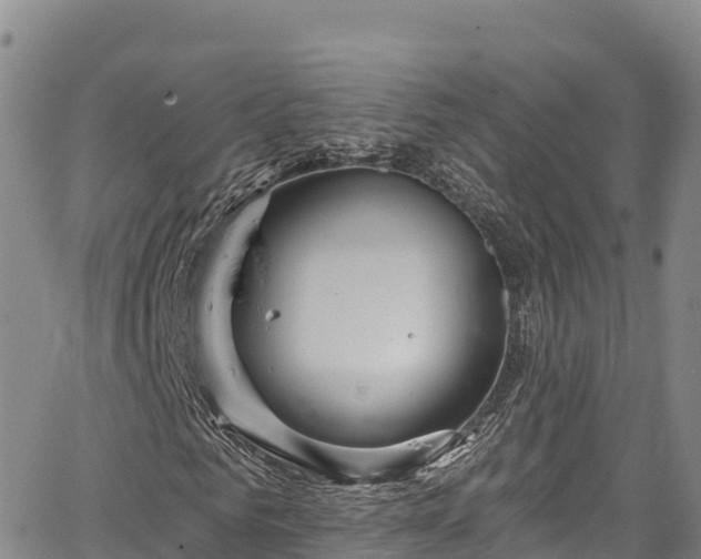 X0000067510961200604101251