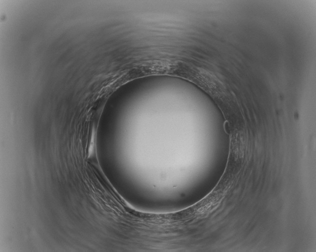 X0000067510962200604101251