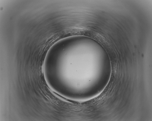 X0000067510964200604101251