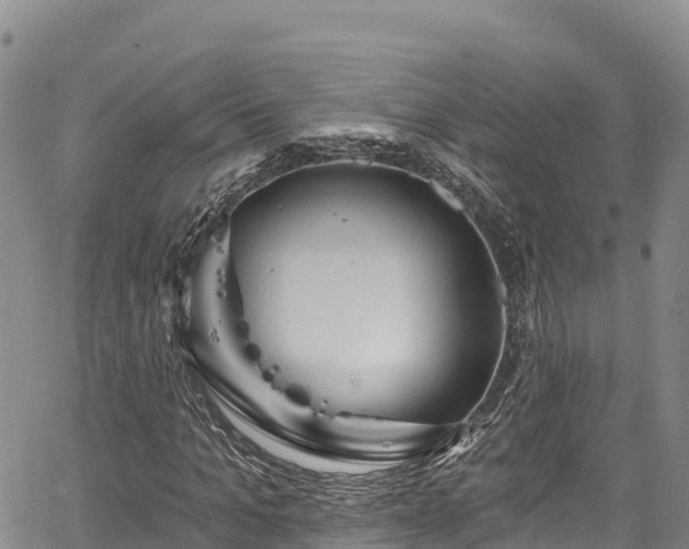 X0000067510965200604101251