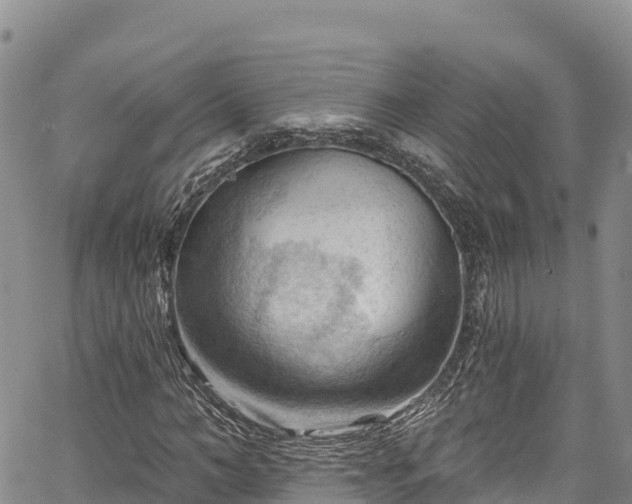 X0000067510966200604101251