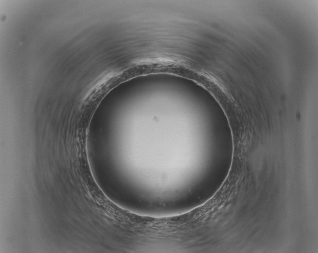 X0000067510967200604101251