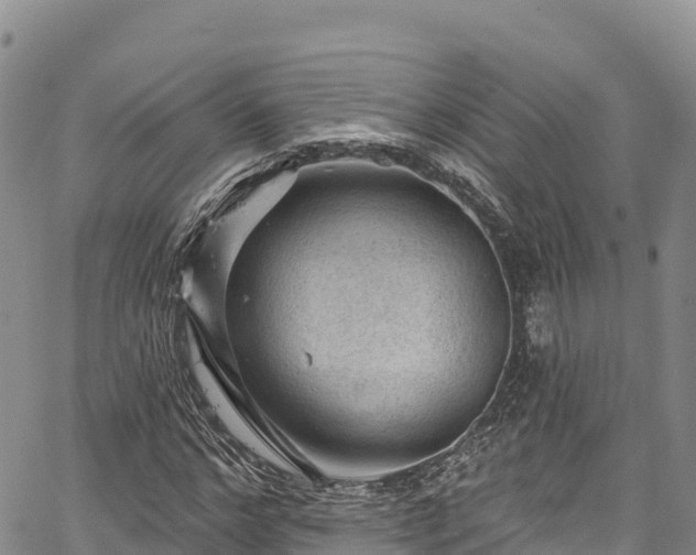 X0000067510968200604101251