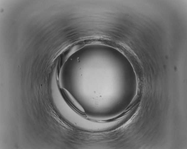 X0000067510969200604101251