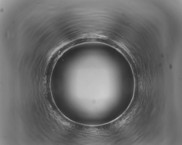 X0000067510971200604101251