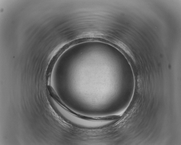 X0000067510972200604101251