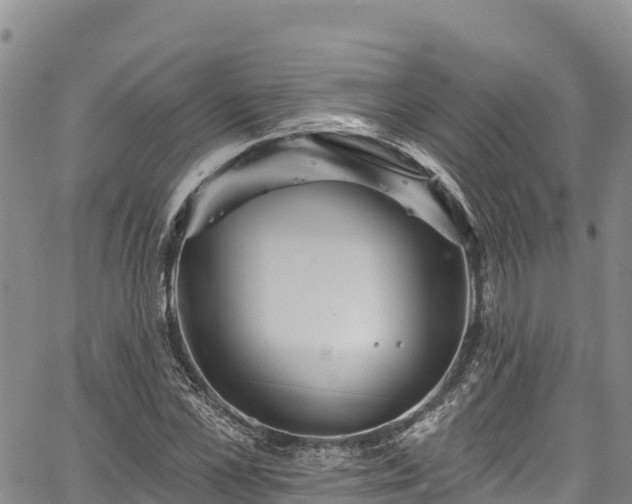 X0000067510973200604101251