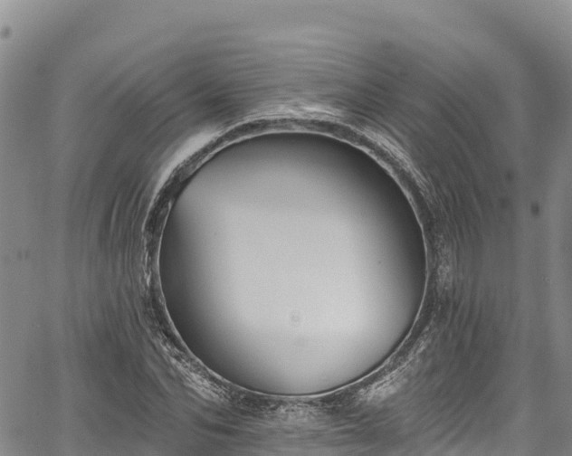 X0000067510974200604101251