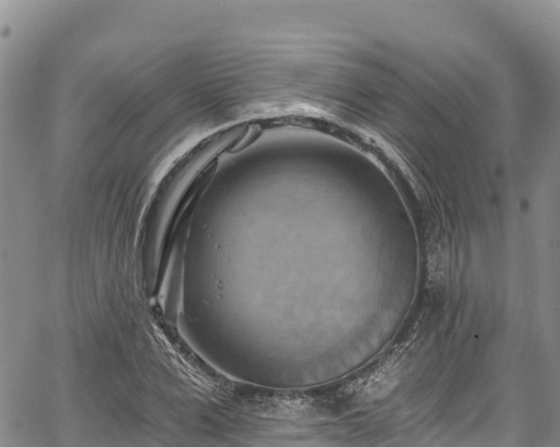 X0000067510975200604101251