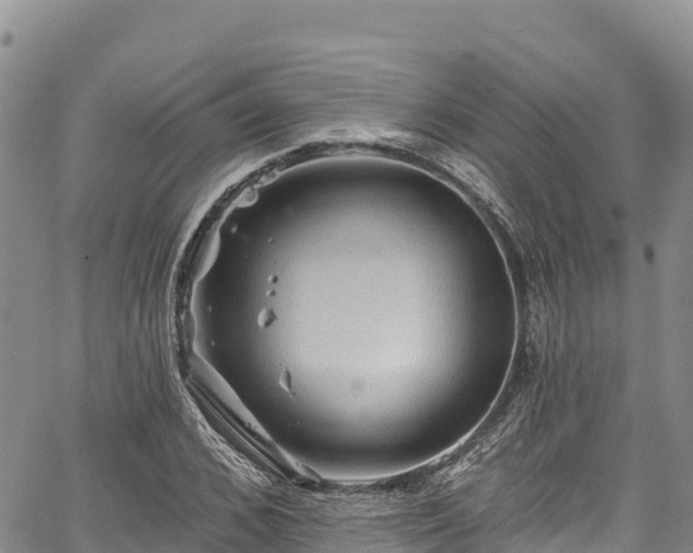 X0000067510976200604101251