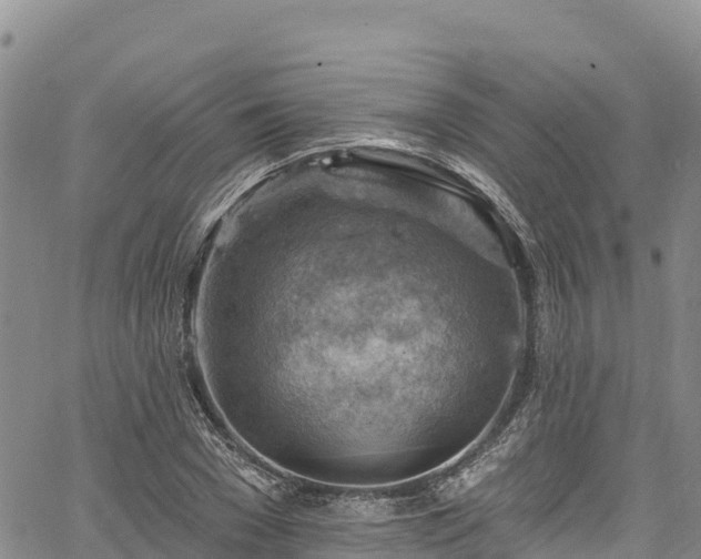 X0000067510977200604101251