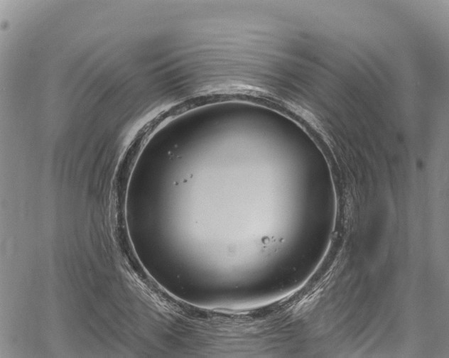 X0000067510979200604101251