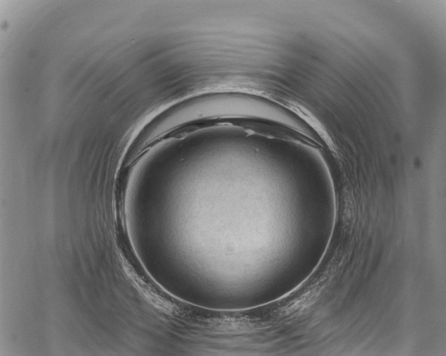 X0000067510980200604101251