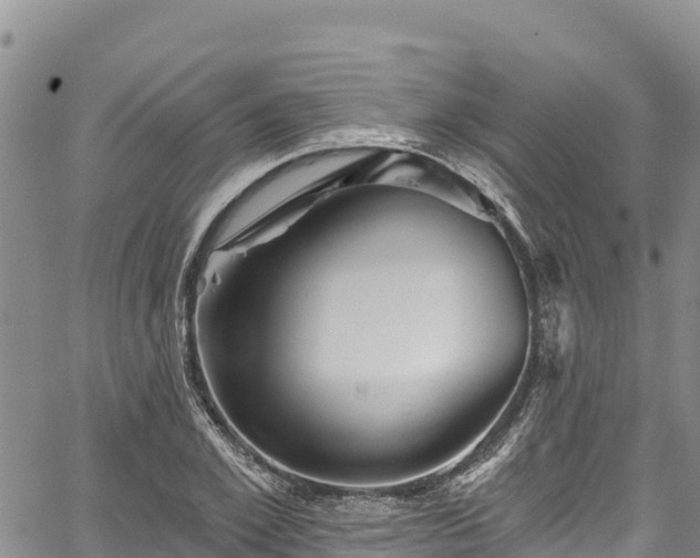 X0000067510981200604101251