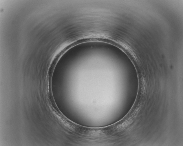 X0000067510982200604101251