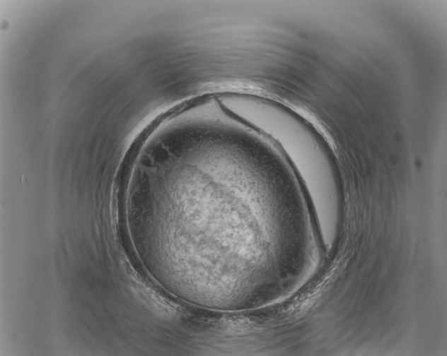 X0000067510983200604101251