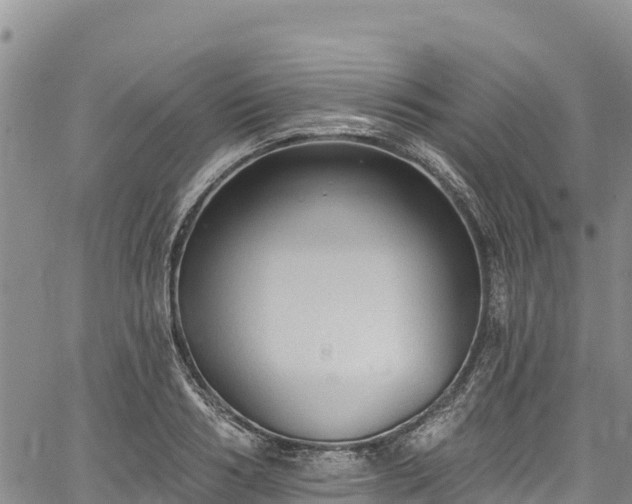 X0000067510986200604101251