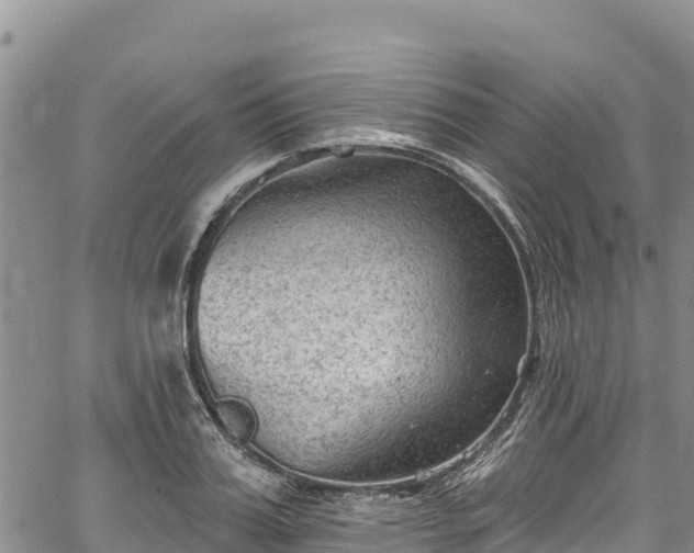 X0000067510987200604101251