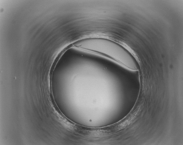 X0000067510988200604101251