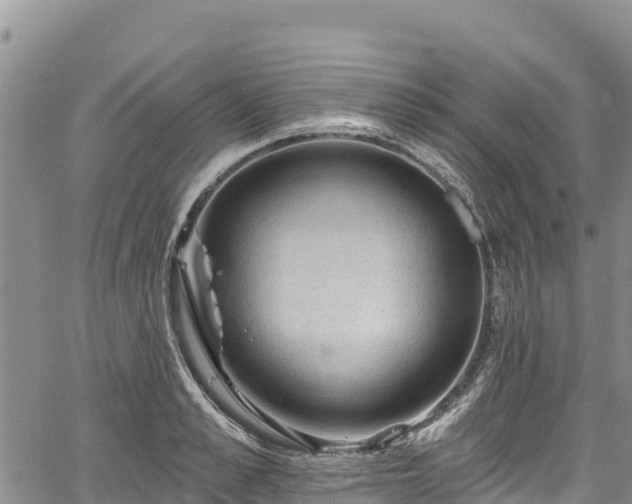 X0000067510989200604101251