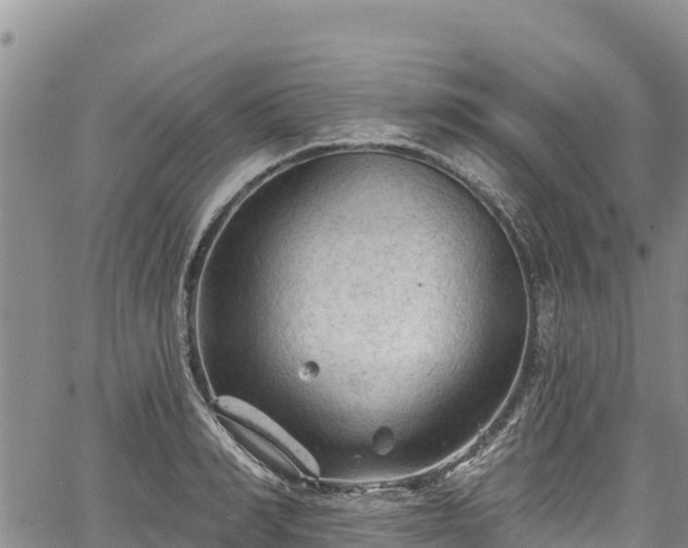 X0000067510990200604101251