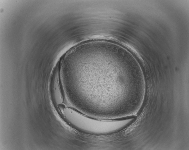 X0000067510991200604101251