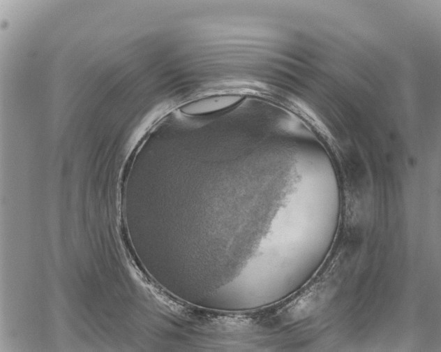 X0000067510994200604101251