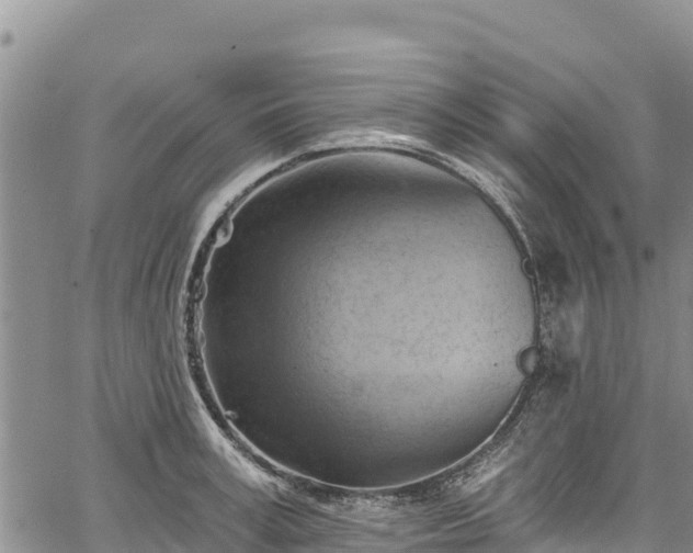 X0000067510995200604101251