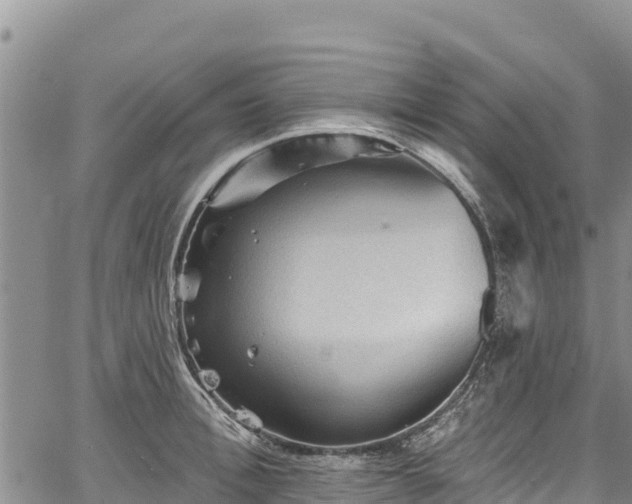 X0000067510996200604101251