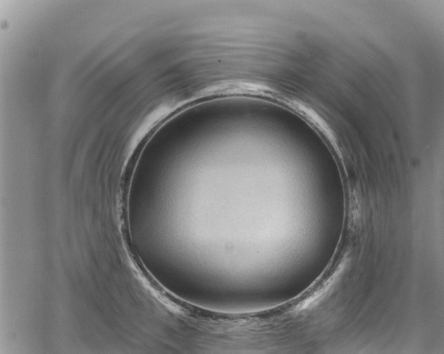 X0000067510997200604101251