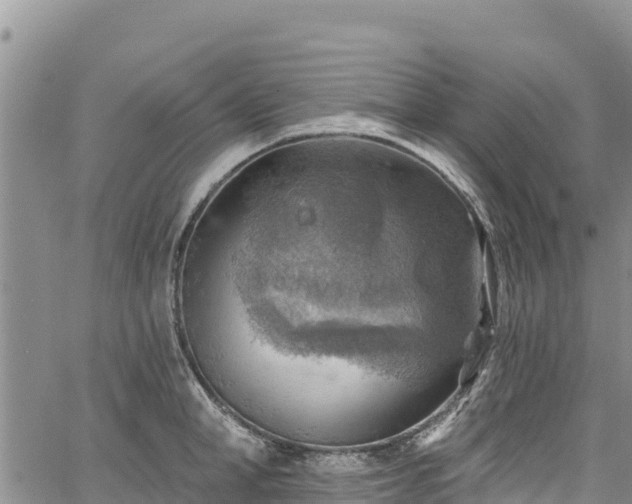 X0000067510998200604101251