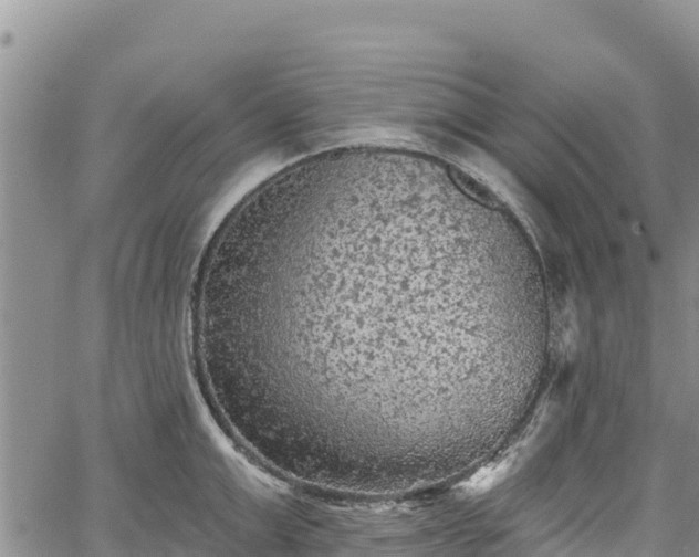 X0000067510999200604101251