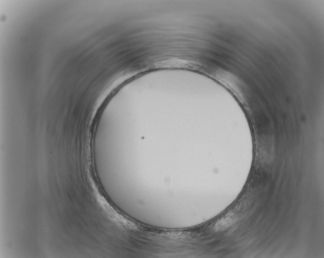 X0000067511000200604101251