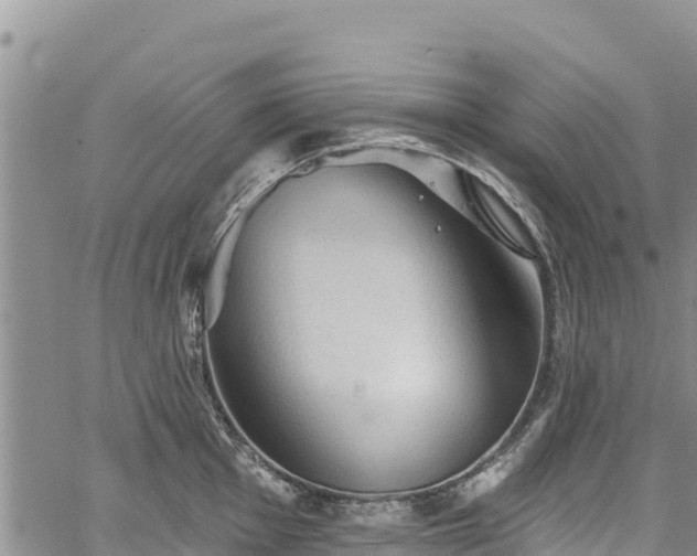 X0000067511001200604101251