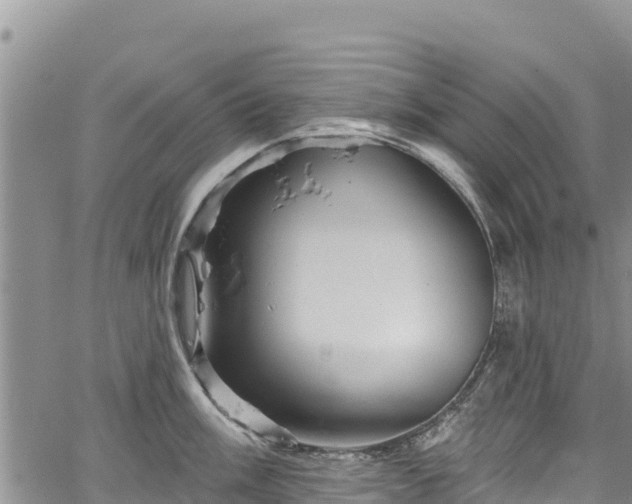 X0000067511003200604101251