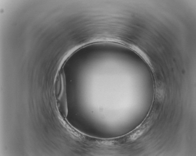 X0000067511004200604101251