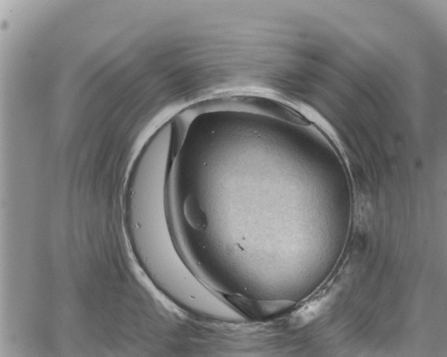 X0000067511005200604101251