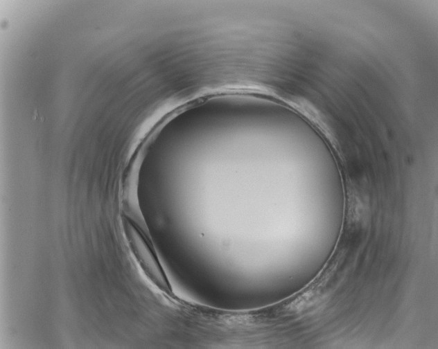 X0000067511006200604101251