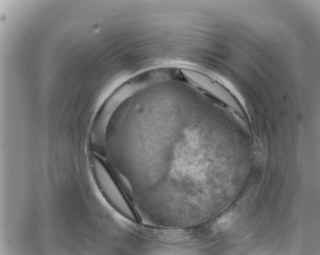 X0000067511007200604101251