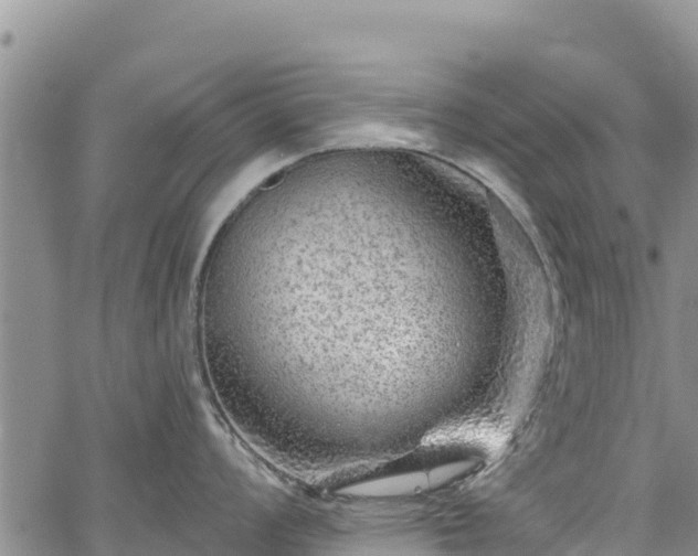 X0000067511008200604101251