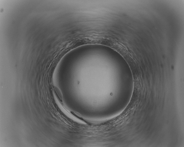 X0000067511009200604101250