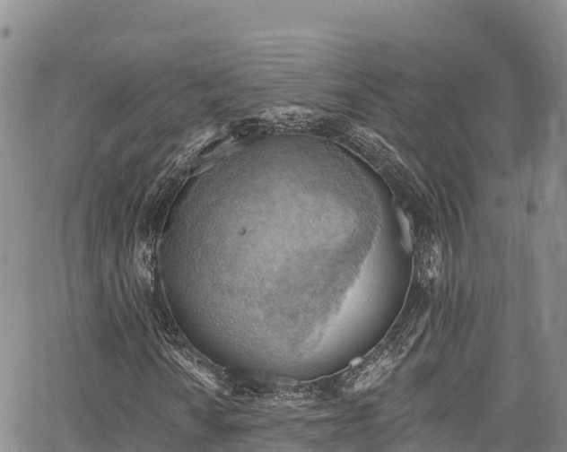 X0000067511010200604101250